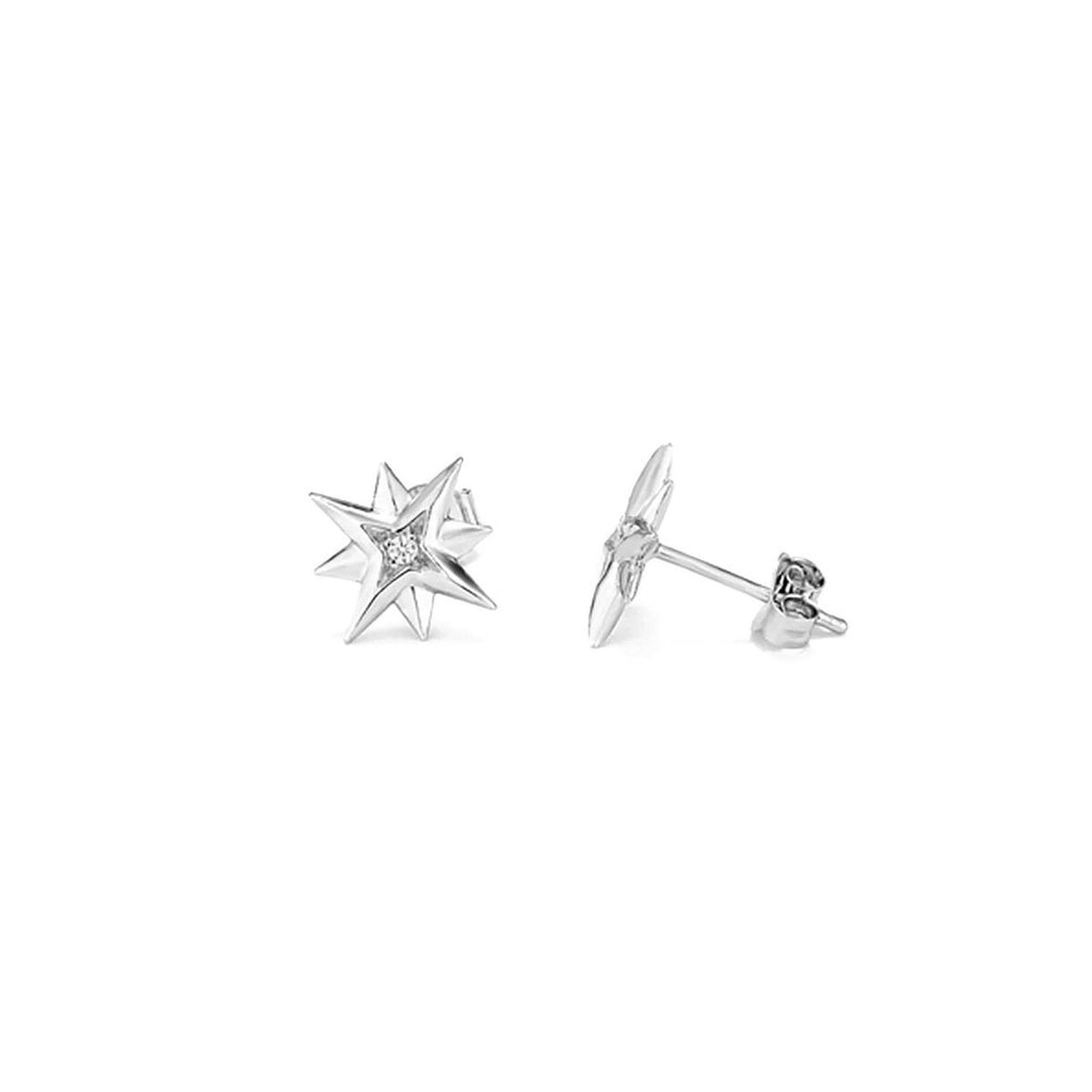 Ladies' Earrings Radiant RY000032-3