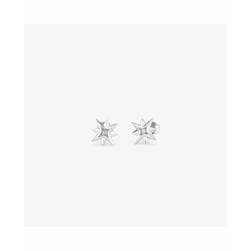 Ladies' Earrings Radiant RY000032-4