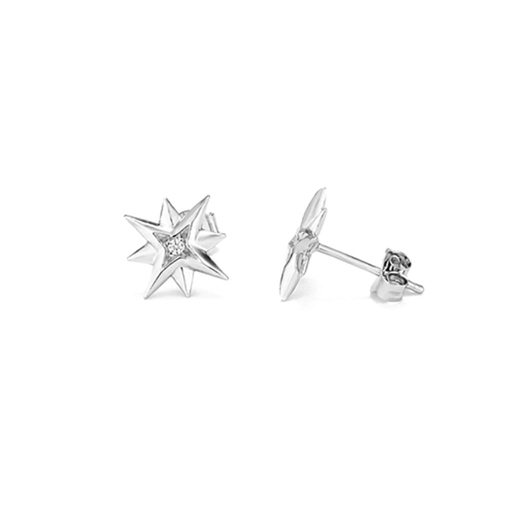 Ladies' Earrings Radiant RY000032-2